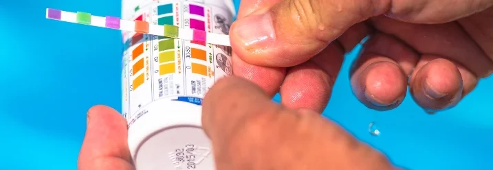 Wasseranalyse mit Teststreifen